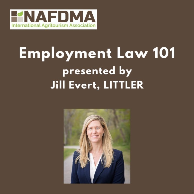 Employment Law 101