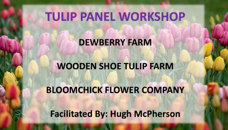 Tulip Panel Workshop